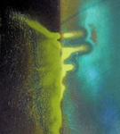Photographs by Mark Derks