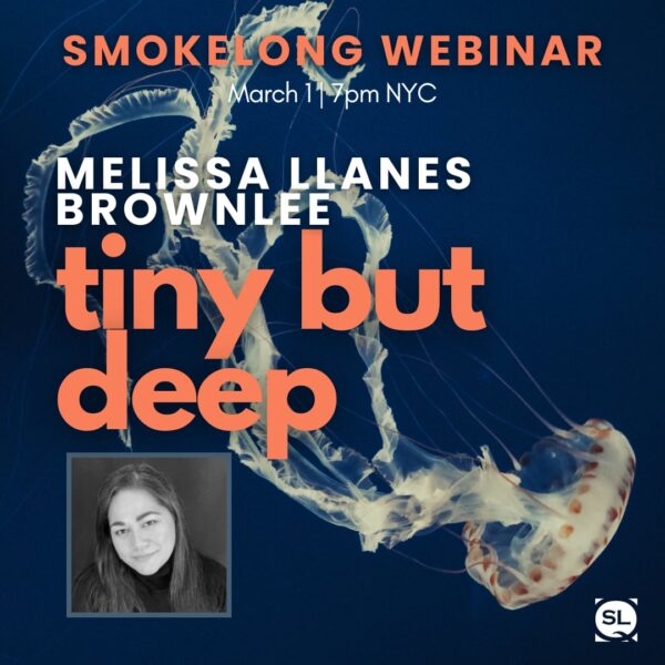 “Tiny but Deep” with Melissa Llanes Brownlee